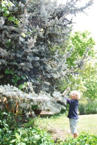 Rotación deDSC_0018