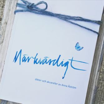 090561A9-8BDC-4904-9D48-E46F8351DE53