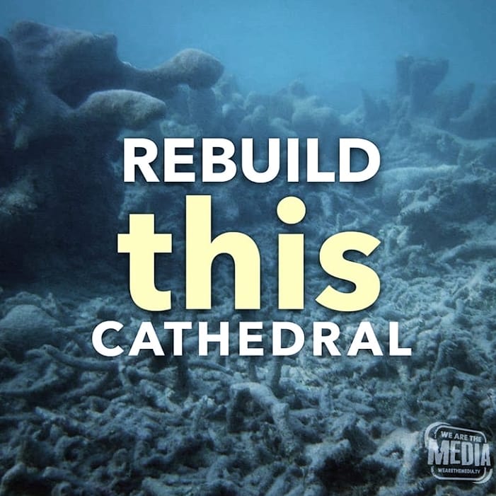 IMG_20190420_173306_122